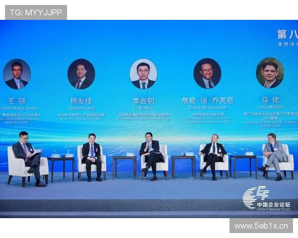 企业家代表推动创新与产业升级的实践与探索：从理念到行动的全景分析